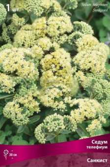 Изображение загружено обработкой по данным файла Excel