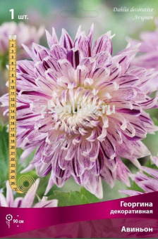 Изображение загружено обработкой по данным файла Excel