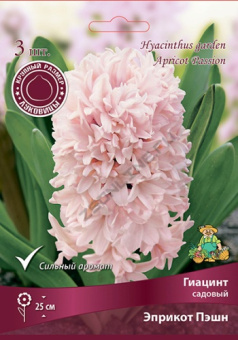 Гиацинт садовый Эприкот Пэшн 15-16/К 3шт
