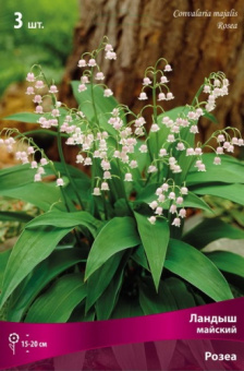 Ландыш майский Розеа/К 1шт