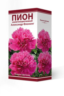 Пион молочноцветковый Александр Флеминг 2-3/К